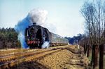01 2165 mit dem D 925 nach Dresden bei Golßen, südlich von Berlin. (01.1976) <i>Foto: Karsten Risch</i>