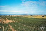 Blick von der Fernstraße 158 zwischen Neukünkendorf und Parstein auf den südlichstens Ausläufer der Uckermark kurz vor der heutigen Kreisgrenze Uckermark/Barnim. 03 2286 ist mit dem E 999 (Angermünde - Bad Freienwalde) zwischen Neukünkendorf und Lüdersdorf (Kr. Eberswalde) unterwegs. (03.07.1977) <i>Foto: Dr. Uwe Knoblauch</i>