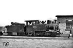99 4652, eine 1941 von Henschel & Sohn an den südlich von Berlin gelegenen Eisenbahnpionier- und Gerätepark Rehagen-Klausdorf gelieferte Heeresfeldbahnlok. Von dort wurde sie im Dezember 1945 auf Befehl der Sowjetischen Militäradministration der nach Kriegsende neu aufgebauten Luckenwalde-Jüterboger Kleinbahn (LJK) zugewiesen. Auch nach ihrer Einreihung als 99 4652 der DR verblieb sie auf dem Dahmer Netz, danach befuhr sie noch vier Jahre die Strecke Bergen – Altenkirchen auf Rügen. Nach der Umspurung auf 600 mm und der Restaurierung kam sie 1974-81 bei Gütersloh auf der Dampfkleinbahn Mühlenstroth (DKBM) als Lok 4 „Frank S“ zum Einsatz, anschließend (wieder 750-mm-spurig) auf der Jagsttalbahn Möckmühl – Dörzbach (1982-88) und dem „Öchsle“ Warthausen – Ochsenhausen (1990-92). Im April 1994 kehrte sie nach Rügen zurück, wo sie sieben Jahre lang in Putbus im Freien besichtigt werden konnte. Unter der Obhut des Fördervereins der Rügenschen Kleinbahnen wurde sie in den Jahren 2011-14 gründlich restauriert. Zum Einsatz kam sie seither auf der Preßnitztalbahn, auf Rügen und beim Pollo.  (18.06.1965) <i>Foto: Helmut Röth</i>