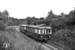 VB 147 561 mit VT 137 562 in Stralsund-Stadtwald auf dem Weg in das 40 km entfernte Hermannshof. Für die meterspurige Bahn kam das Ende in den 1960er Jahren: Seit 16. Juni 1961 begannen die Züge in Stralsund nicht mehr am Landesbahnhof, sondern am 2,5 Kilometer entfernten Haltepunkt Stadtwald, um die Fahrt auf den Straßen der Stadt, vor allem dem Bahnhofsvorplatz, zu vermeiden. Der Personenverkehr auf dem Westteil der Strecke zwischen Hermannshof und (Ribnitz-)Damgarten Ost endete am 29. Mai 1965 und ab Barth am 4. Januar 1971. Danach wurde die Bahn abgebaut, denn der Gesamtverkehr der Strecke Stralsund–Barth sowie auf der Zweigbahn nach Klausdorf hatte schon am 30. November 1968 geendet. Der restliche Güterverkehr Barth–Hermannshof wurde noch bis 31. Mai 1969 bedient.  (18.06.1965) <i>Foto: Helmut Röth</i>