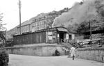 Der Bahnhof Lambrecht (Pfalz) liegt an der Bahnstrecke Mannheim—Saarbrücken, die aus der Pfälzischen Ludwigsbahn hervorging. Eröffnet wurde er am 25. August 1849, als die Ludwigsbahn auf voller Länge in Betrieb genommen wurde. Ab 1902 wurde ein Industriegleis zur Sattelmühle errichtet, aus dem 1909 eine Nebenbahn (genannt „Kuckucksbähnel“) nach Elmstein hervorging. Bis 1960 wies diese regulären Personenverkehr auf und dient seit 1984 dem Museumsbahnbetrieb.  (1952) <i>Foto: BD Mainz, Slg. W. Löckel</i>