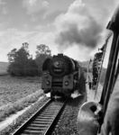 Zugbegegnung mit 120 km/h bei Uckro zwischen 01 2207 und 01 1511. (1975) <i>Foto: Rolf Serfert</i>