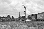 Die tägliche Zugkreuzung von Gex 2650, diesmal mit 01 0535 (links) und 01 1512 mit E 315 "Gedania" aus Szczecin (Stettin) bei Angermünde. Der Gex hatte Berlin Ostbahnhof um kurz nach 5 Uhr morgens verlassen und zuckelte im 90 km/h-Plan mit rund 300 t Zuggewicht dahin. Frühstückspause machte das Personal meist während des Aufenthalts in Eberswalde, trotzdem war die Leistung nicht beliebt, da der Zug am Ende einer langen Nacht gefahren werden musste. 01 1512 hatte um 7.17 Uhr pünktlich den Bahnhof Angermünde verlassen und wird um 8.26 Uhr Berlin-Lichtenberg erreichen.  (12.09.1978) <i>Foto: Joachim Schmidt</i>
