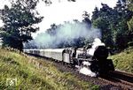 Und das Ganze nochmals in Farbe: 03 0080 mit D 510 nördlich von Angermünde. (13.09.1978) <i>Foto: Joachim Bügel</i>