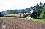 Auch am Tag zuvor rauschte 03 0080 mit dem D 510 nach Stralsund durch die uckermärkischen Kiefernwälder bei Angermünde. (12.09.1978) <i>Foto: Joachim Bügel</i>