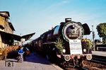 Am Vortag des Fahrplanwechsels fand die letzte planmäßige Dampflokbespannung des D 813/D 914 mit einer Stralsunder 03.10 statt. Die Baureihe wurde offiziell aus dem Plandienst verabschiedet, ab 1. Juni 1980 übernahmen 132er das Zepter. Die Ehre wurde der besondes liebevoll gepflegten Starlok 03 0010 zuteil, hier beim Halt im Bahnhof Greifswald. Zum Aufnahmezeitpunkt waren außer 03 0010 nur noch 03 0058, 0059, 0075 und 0080 dienstfähig, die bis zum Ablauf der Fristen noch als Reservelok zur Verfügung standen. Während 03 0058 als letzte am 15.04.1981 auf "warten L6" abgestellt wurde, überlebte 03 0010 als Traditionslok.   (31.05.1980) <i>Foto: Dr. Uwe Knoblauch</i>