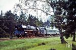 Drei Tage vor dem offiziellen Ende fährt 03 0010 relativ unspektakulär vor dem D 814 (Leipzig – Stralsund) durch die märkischen Kiefernwälder bei Melchow. (29.05.1980) <i>Foto: Dr. Uwe Knoblauch</i>