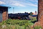 Der Bahnhof Barth diente dem Bw Stralsund als letzte Ruhestätte für die 03.10. Hier trafen Ende 1979 u.a. 03 0019, 03 0020 und 03 0074 ein. Ein Jahr zuvor war bereits 03 0088 aus dem Dienst ausgeschieden, die unter freiem Himmel allmählich Rost ansetzte. (23.08.1978) <i>Foto: Dr. Uwe Knoblauch</i>