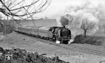 Bei Großenhain kommt die Ostbahnhofer 01 2016 mit dem D 371 "Pannonia-Express" angedampft. (03.1977) <i>Foto: Burkhard Wollny</i>