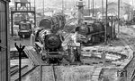 44 0196 auf der Drehscheibe im Bw Saalfeld. Die Lok war am 14.08.1940 als 44 196 beim Bw Erfurt G in Dienst gestellt worden. Im Juli 1963 wurde sie auf Ölfeuerung umgebaut, die im Dezember 1982 wieder zurückgebaut wurde. 1988 wurde sie nach dem Umbau zur Zweizylinderlok nach Cottbus, Einsatzstelle Guben versetzt. Am 22. Dezember 1991 wurde sie von der DR an Herrn Falz nach Hermeskeil verkauft, dort mit großen Wagner-Windleitblechen ausgerüstet, besitzt aber immer noch das Zwei-Zylinder-Triebwerk. In Saalfeld war sie von 1967 bis 1986 stationiert. (07.1977) <i>Foto: Burkhard Wollny</i>