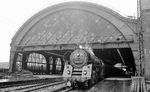 Auch im strömenden Regen fahren Züge. Bei solchen Lichtverhältnissen blieb damals allerdings nur eine Standaufnahme der Ostbahnhofer 01 1506 in Dresden Hauptbahnhof übrig.  (04.1977) <i>Foto: Burkhard Wollny</i>