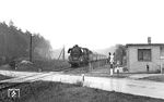 03 2250 (Bw Frankfurt/Oder) im Oderbruch bei Bralitz zwischen Bad Freienwalde und Angermünde. Das Zugpaar E 992/999 war die letzte 03-Leistung zwischen Frankfurt/Oder und Angermünde. (04.1977) <i>Foto: Burkhard Wollny</i>