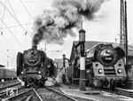 Die beide zum Bw Erfurt gehörenden 01 118 und 01 505 begegnen sich auf dem Boden des "Klassenfeindes" in Bebra. 01 505 war auch eine ehemalige Krupp-Lok und war nummernmäßig ursprünglich nicht weit von 01 118 entfernt als 01 121 in Dienst gestellt worden. Während 01 118 später "in den Westen rübermachte", stand 01 505 als eine der letzten Exemplare ihrer Baureihe beim Bw Saalfeld bis 1980 im Dienst. (26.03.1964) <i>Foto: Gerhard Moll</i>