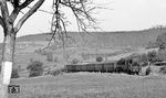 95 0014 mit P 18014 (Eisfeld – Sonneberg) kurz hinter Schalkau. (07.1977) <i>Foto: Burkhard Wollny</i>