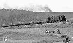 95 0027 mit dem E 802 (Sonneberg – Saalfeld - hier übernahm den Zug eine 01.5 auf dem weiteren Laufweg nach Leipzig) auf der Steigung zwischen Lichte Ost und Schmiedefeld. (07.1977) <i>Foto: Burkhard Wollny</i>