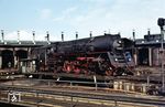 Die Wittenberger 01 0505 auf einer der markanten 23m-Doppeldrehscheiben im Bw Hamburg-Altona. Nachdem der Ringlokschuppen 1982 abgerissen wurde, mussten die Drehscheiben im Jahre 2000 weichen.  (07.04.1972) <i>Foto: Peter Schiffer</i>