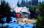 99 7243 auf der Harzquerbahn bei Benneckenstein. (11.1990) <i>Foto: Hans Hilger</i>