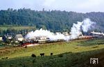 44 1093 mit Sonderzug P 24503 anlässlich des 34. MOROP-Kongress in Erfurt bei Gräfenroda. Der aus Erfurt kommende Sonderzug war in Arnstadt geteilt worden. Zug 1 (P 24501) fuhr von Arnstadt über Ilmenau nach Themar mit den Loks 95 1027 und 94 1292, der zweite Zug (P 24503) von Arnstadt über Oberhof nach Meiningen. (08.09.1987) <i>Foto: Wolfgang Bügel</i>