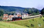 Vor der Kulisse des bekannten Klosters Paulinzella aus den Jahren 1196–1210 wurde mit dem Sonderzug ein Fotohalt eingelegt. Da anschließend die kräftige Dampffahne der 65 1049 den Hintergrund komplett verräucherte, zeigen wir nur das Bild des haltenden Zuges. (09.09.1987) <i>Foto: Wolfgang Bügel</i>