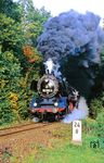 50 3654 kachelt mit Gag 56355 aus dem Rochsburger Tunnel. Der 285 m lange Tunnel wurde beim Bau der Muldentalbahn in den Jahren 1872 bis 1876 angelegt. Der Durchbruch erfolgte am 13. November 1874. Dem Colditzer Wochenblatt vom 3. Dezember 1874 zufolge betrug die Differenz beim Zusammentreffen der Bohrungen nur 1 mm.  (20.10.1987) <i>Foto: Wolfgang Bügel</i>