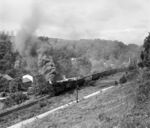 99 713 mit 99 734 mit einem Sonderzug nach Kipsdorf in der Ausfahrt von Seifersdorf. (04.09.1983) <i>Foto: Joachim Schmidt</i>