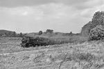 99 1784 mit einem Personenzug von Göhren nach Putbus bei Serams. (05.09.1983) <i>Foto: Joachim Schmidt</i>