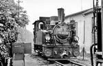 99 4532 steht noch ohne EDV-Nummer am Schmalspurlokschuppen in Zittau abgestellt. Die frühere Privatbahnlok stammt von der Trusebahn in Thüringen, wo sie bis 1959 im Einsatz stand. Nach einer kurzen Episode auf Rügen beim Bw Putbus gelangte sie 1963 nach Sachsen zur Zittauer Schmalspurbahn. Hier wurde sie als Rangierlok heimisch und ist heute noch als Museumslok vorhanden.  (06.06.1971) <i>Foto: Michael Malke</i>