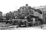 Im Bw Aue/Sa. haben sich die dort heimischen 86 1725, 1012, 1222 und 1591 versammelt. (07.07.1973) <i>Foto: Michael Malke</i>