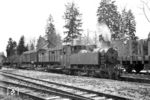 Die Staatliche Waldbahn Ruhpolding – Reit im Winkl war eine meterspurige Schmalspurbahn, die zwischen 1922 und 1931 von der bayerischen Forstverwaltung betrieben wurde. Die Waldbahn schloss an die normalspurige Bahnstrecke Traunstein–Ruhpolding an, wenngleich ihr Bahnhof circa 400 Meter östlich des Regelspur-Bahnhofs lag. Die Strecke diente in erster Linie zum Abtransport von Holz aus dem Seetraun- und Schwarzlofertal. (31.10.1930) <i>Foto: Ernst Schörner</i>