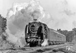 01 2165 mit dem D 925 nach Dresden in voller Fahrt bei Golßen, südlich von Berlin.  (01.1976) <i>Foto: Karsten Risch</i>