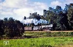01 0503 (Bw Pasewalk) vor dem Gepäck- und Expressgutzug Gex 2650 bei Greifenberg. (09.1978) <i>Foto: Dr. Uwe Knoblauch</i>