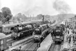 Anlässlich der 8. Flämingschau in Belzig und des 100-jährigen Jubiläums der Strecke von Berlin über Belzig nach Blankenheim - der sogenannten "Kanonenbahn" - fanden zwei Sonderfahrten des DMV statt. Eine Sonderfahrt mit der Lok 01 2137 führte von Brandenburg/Havel über die Brandenburger Städtebahn nach Belzig (im Hintergrund) und eine weitere Sonderfahrt mit den Loks 03 2235 und 18 201 von Magdeburg nach Belzig. Dort kam es dann am Tag des Eisenbahners zum Treffen der schnellfahrenden Lokomotiven. (09.06.1979) <i>Foto: Joachim Schmidt</i>