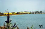 Eine unbekannte 03.10 führt den D 715 nach Berlin am Parsteiner See zwischen Herzsprung und Chorin, südlich von Angermünde. (06.1978) <i>Foto: Dr. Uwe Knoblauch</i>