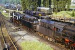 Im Bw Berlin-Pankow begegnen sich drei Gastloks: 50 0035 mit 50 0036 aus Angermünde und 52 8066 vom Bw Berlin-Schöneweide. (08.08.1979) <i>Foto: Dr. Uwe Knoblauch</i>