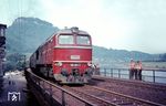 DR 120 261 (Lokomotivfabrik Oktober-Revolution, Woroschilowgrad/UdSSR), die am 04.07.1969 beim Bw Reichenbach/V. abgenommen worden war, mit einem Güterzug bei Königstein an der Elbe auf dem Weg nach Decin.  (08.1971) <i>Foto: Joachim Claus</i>