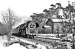 01 0505 auf dem Weg nach Hamburg kurz vor Berlin-Griebnitzsee. Die Fotostelle wurde bei den Berliner Eisenbahnfreunden "Hühnerhugo" genannt, da sich der Bewohner des Bahnwärterhauses hier einige Hühner hielt. (12.1971) <i>Foto: Werner Eggebrecht</i>