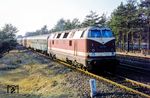Mit dem D 343 aus Hannover kommt DR 118 278 vom Bw Berlin-Grunewald auf der Wannseegeraden in voller Fahrt zum Bahnhof Berlin Zoologischer Garten angedieselt. Ein TEE-Halbspeisewagen der Bauart ARümh 217 setzt farbliche Akzente im grünen Einerlei. (1975) <i>Foto: Karsten Risch</i>