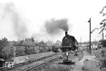 55 642 dampft aus Erfurt West. Der Bahnhof war Betriebsmittelpunkt der Eisenbahn AG Erfurt-Nottleben. Im Bahnhofsgebäude befand sich der Sitz der Bahnverwaltung. Die Betriebswerkstatt, links neben der Lok, bestand aus einem zweigleisigen Lokschuppen nebst Nebengebäude. Die Reisegeschwindigkeit auf der Strecke nach Nottleben machte keinem Fahrradfahrer Konkurrenz: 15 km in bestenfalls 55 Minuten, was einer Durchschnittsgeschwindigkeit von gut 16 km/h entsprach. Rechts am Bildrand steht übrigens der Erfurter Lokhistoriker Werner Umlauft.  (1963) <i>Foto: Karl-Ernst Maedel</i>