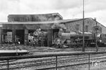 01 135 vom Bw Erfurt P als Gastlok im Bw Bebra. 1964 wurde sie in 01 532 umgebaut. Im Schuppen wird gerade 01 1081 repariert. (1960) <i>Foto: Norbert Steinweis</i>