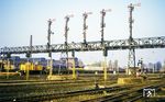 106 250 (ex V 60 1250, LEW, Baujahr 1965) rangiert unter der Signalbrücke im Bw Berlin-Grunewald.  (1984) <i>Foto: Karsten Risch</i>