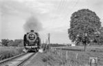 01 2137 mit einem Sonderzug in der Nähe von Ballenstedt an der Strecke Frose - Quedlinburg. Die Strecke ist inzwischen abgebaut. (05.1979) <i>Foto: Karsten Risch</i>