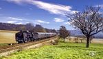 01 2114 mit dem D 370 "Panonia-Express" nach Berlin am "Erlöserbaum" bei Gröbern. Der rechts im Bild befindliche Baum hatte seinen Spitznamen aus dem Umstand, dass der Zug hier die lange Steigung aus dem Elbtal geschafft hatte und Heizer nun eine körperliche Pause einlegen konnte. (04.1975) <i>Foto: Karsten Risch</i>