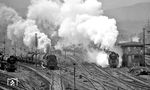 In Saalfeld liefern sich 01 0522 vor D 504 und 95 0040 mit einem Güterzug nach Unterwellenborn ein Wettrennen. (04.1977) <i>Foto: Burkhard Wollny</i>