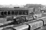 Bereits 1865 entstand in Pasewalk ein dreiständiger Rechteck-Lokschuppen mit Drehscheibe und Bekohlungsanlage am Ende der Bahnsteiggleise 1 und 4. 1896 wurde der auf dem Foto zu sehende 12-ständige Ringlokschuppen der Bauart "Potsdam" mit zwei Gleisen in einer Schuppentoreinfahrt eingeweiht, der alte Reckeckschuppen diente fortan als Wagenwerkstatt. 1925 wurde der Schuppen auf 26 Stände erweitert und eine 23-m-Drehscheibe eingebaut. Am Ende des Zweiten Weltkriegs befanden sich hier rund 100 Dampflokomotiven. 1949 wurden in Pasewalk auch die Schmalspurloks der ehemaligen Mecklenburgisch Pommerschen Schmalspurbahn (MPSB) übernommen. 1981 endete der Dampfbetrieb mit einer ölgefeuerten Lok der Baureihe 50.00. Die hier zu sehende 50 0037 verließ als eine der letzten Dampfloks am 30.09.1981 Pasewalk. Am 30.09.1997 wurden der Betriebshof und das Werk geschlossen. Die Anlagen wurden vom Verein "Lokschuppen Pomerania e.V." übernommen, der die Denkmalpflege, Förderung der Eisenbahngeschichte und -forschung und die Erhaltung historischer Bausubstanz betreibt. (19.09.1981) <i>Foto: Joachim Schmidt</i>