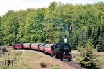 99 7246 mit P 14414 (Nordhausen - Hasselfelde) nahe des Haltepunktes Birkenmoor zwischen Eisfelder Talmühle und Stiege. (16.05.1988) <i>Foto: Wolfgang Bügel</i>