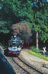 Durch den damals noch halbwegs intakten Harzer Wald dampft 99 6001 mit P 14457 bei Drahtzug. (28.07.1988) <i>Foto: Wolfgang Bügel</i>