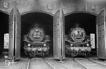 86 1223 und 86 1552 in im Schuppen ihrer ostsächsischen Heimat Zittau. 86 1552 besitzt ein Handrad für den Rauchkammerverschluß, das von einer größeren Lok stammt, z.B. von einer 01 bis 52. (06.06.1971) <i>Foto: Michael Malke</i>