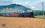 Am nächsten Tag hatten 99 7233 und 7244 erneut den Ng 67092 nach Silberhütte am Haken, aufgenommen bei Niedersachswerfen. (30.07.1988) <i>Foto: Wolfgang Bügel</i>