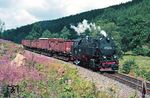 99 7244 rollt mit Ng 67092 bei Güntersberge zu Tal. (30.07.1988) <i>Foto: Wolfgang Bügel</i>