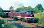 DR 132 231 vom Bw Halberstadt an der Abzweigstelle Wolfsfelde bei Magdeburg-Salbke. Die 1896 eingeweihte Bahnstrecke für den Güterverkehr wurde am 7. Dezember 1995 eingestellt.  (30.07.1988) <i>Foto: Wolfgang Bügel</i>